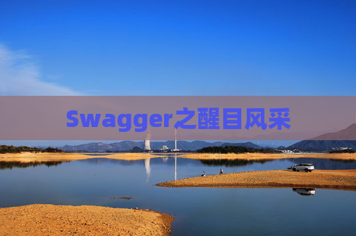 Swagger之醒目风采
